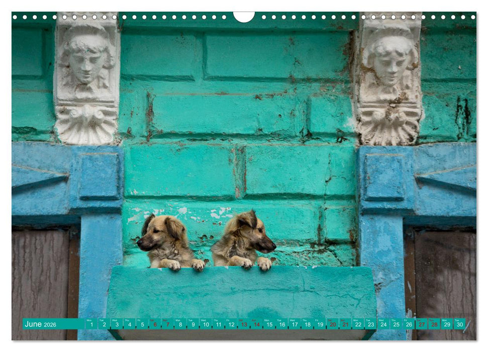 CUBA CARIBBEAN DREAM DESTINATION (CALVENDO Monthly Calendar 2026)