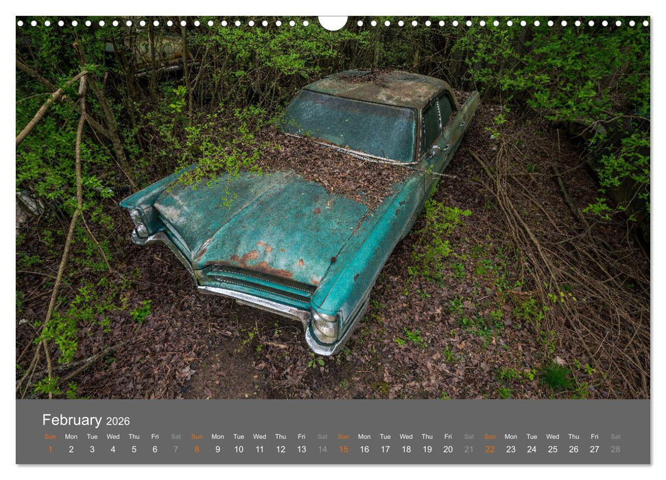 Rustography (CALVENDO Monthly Calendar 2026)