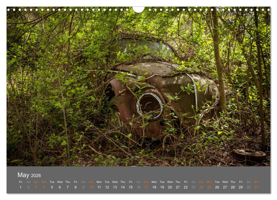 Rustography (CALVENDO Monthly Calendar 2026)