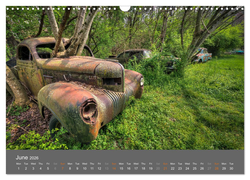 Rustography (CALVENDO Monthly Calendar 2026)