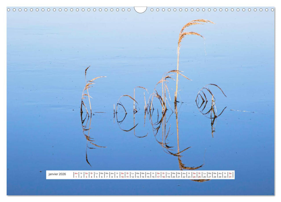 J'adore Le Cotentin (CALVENDO Calendrier mensuel 2026)