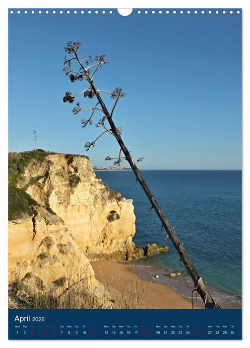 Pure Algarve (CALVENDO Monthly Calendar 2026)