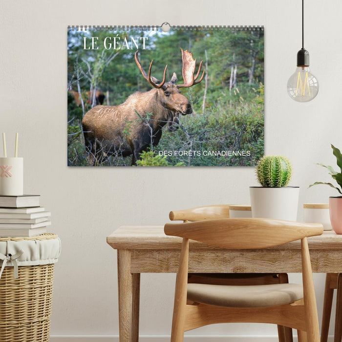 LE GÉANT DES FORÊTS CANADIENNES (CALVENDO Calendrier mensuel 2026)