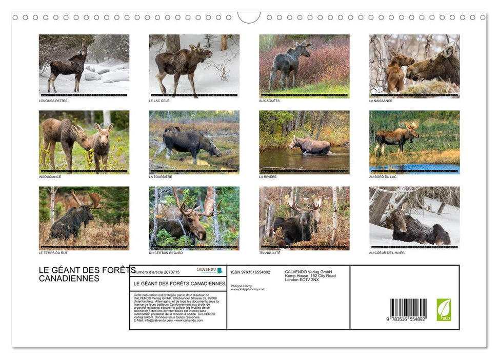 LE GÉANT DES FORÊTS CANADIENNES (CALVENDO Calendrier mensuel 2026)