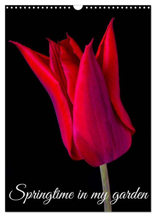 Springtime in my garden (CALVENDO Monthly Calendar 2026)