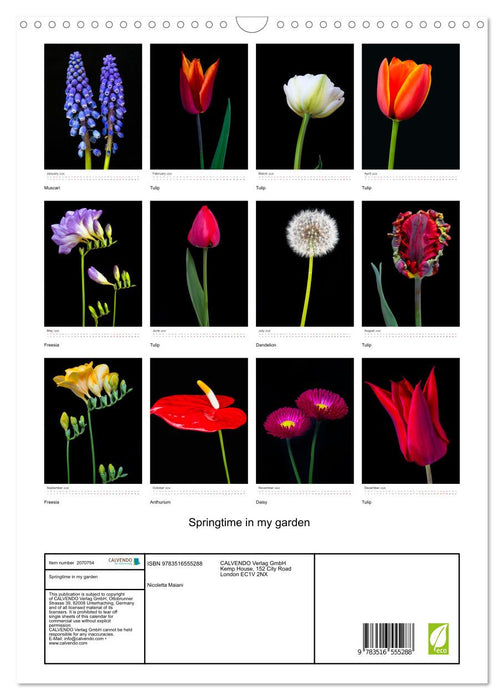 Springtime in my garden (CALVENDO Monthly Calendar 2026)