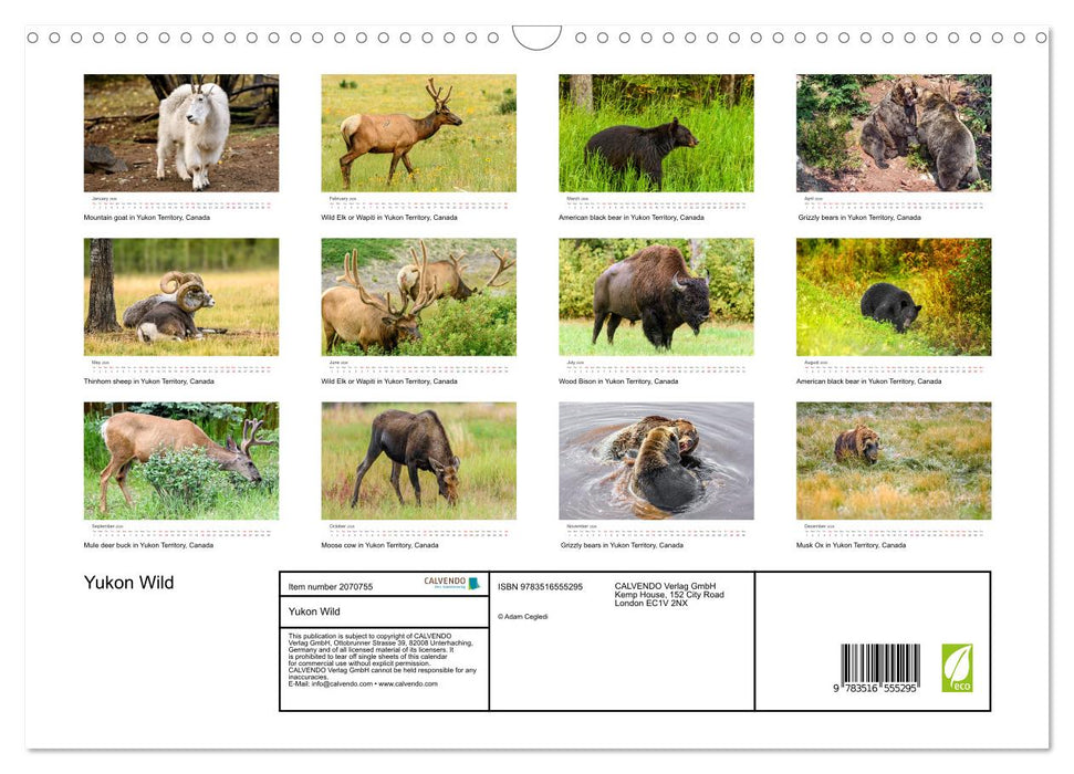 Yukon Wild (CALVENDO Monthly Calendar 2026)