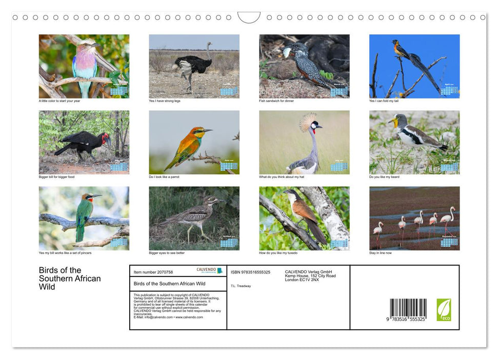 Birds of the Southern African Wild (CALVENDO Monthly Calendar 2026)