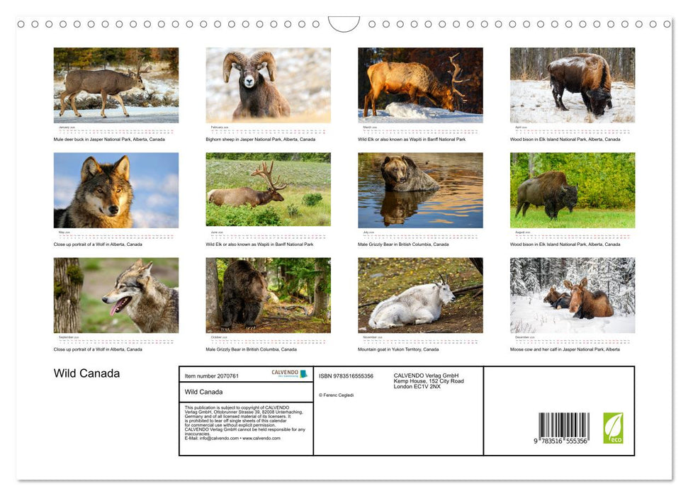 Wild Canada (CALVENDO Monthly Calendar 2026)