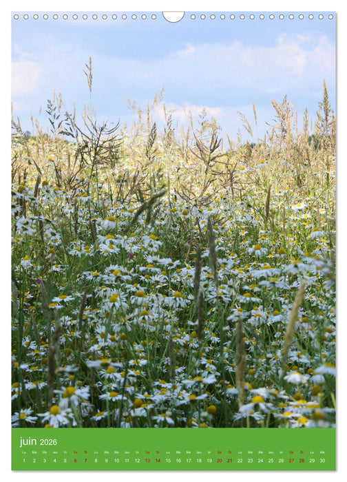 Senteurs florales (CALVENDO Calendrier mensuel 2026)