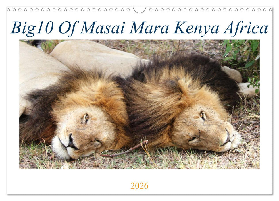Big10 Of Masai Mara Kenya Africa (CALVENDO Monthly Calendar 2026)