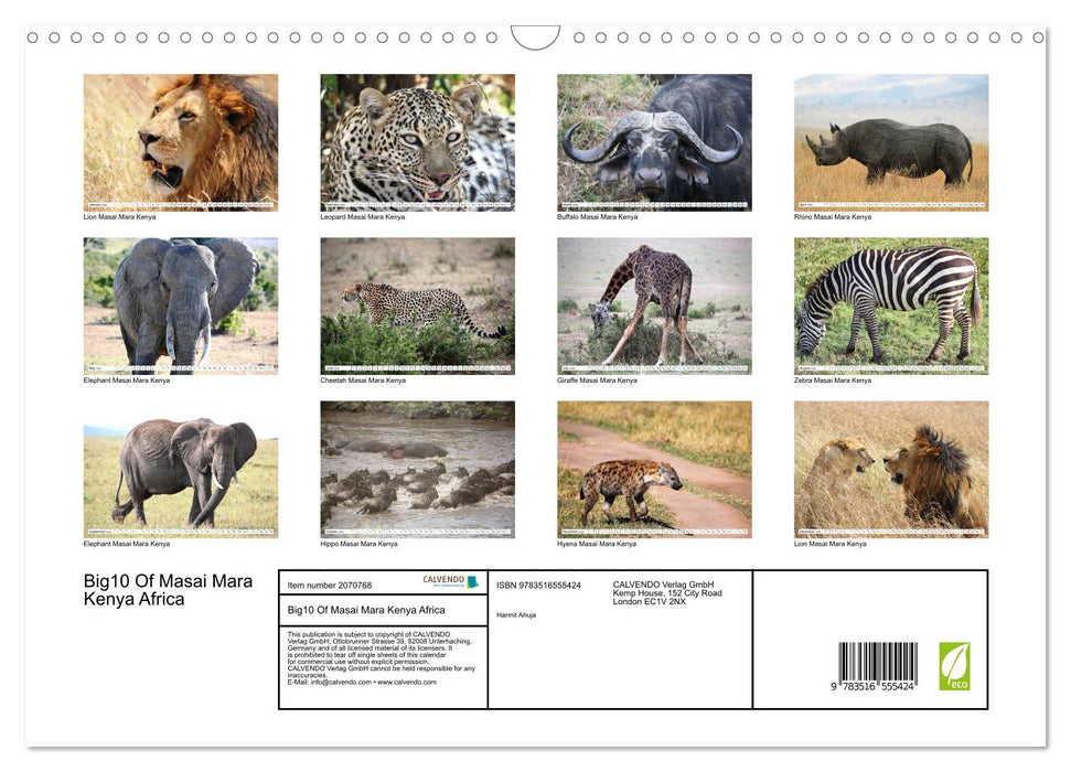 Big10 Of Masai Mara Kenya Africa (CALVENDO Monthly Calendar 2026)