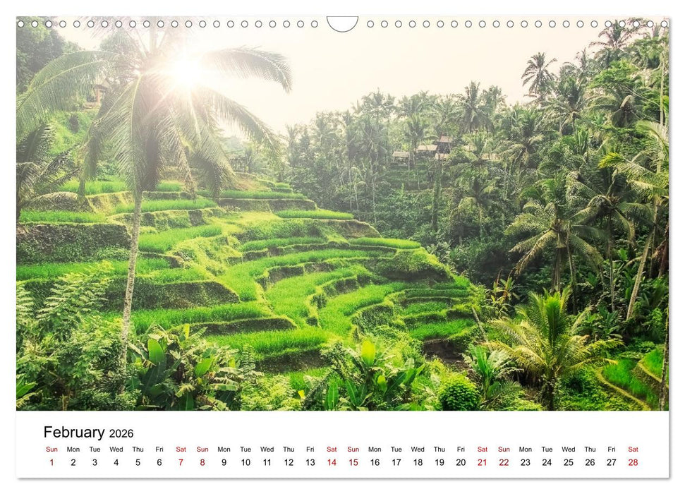 Tropical Vibes (CALVENDO Monthly Calendar 2026)