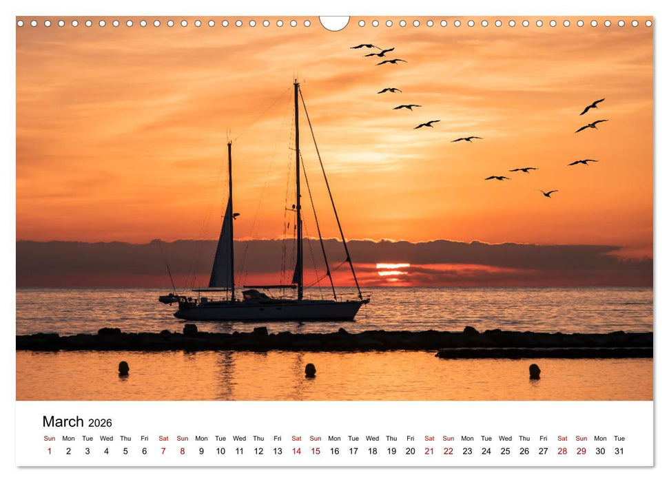 Tropical Vibes (CALVENDO Monthly Calendar 2026)