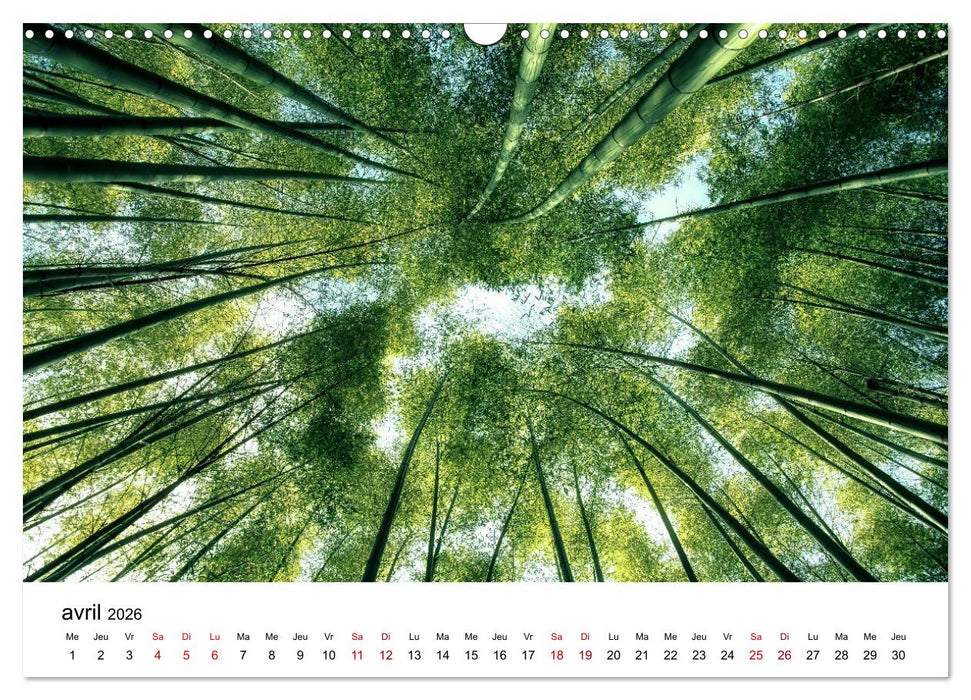 Merveilleux Japon (CALVENDO Calendrier mensuel 2026)