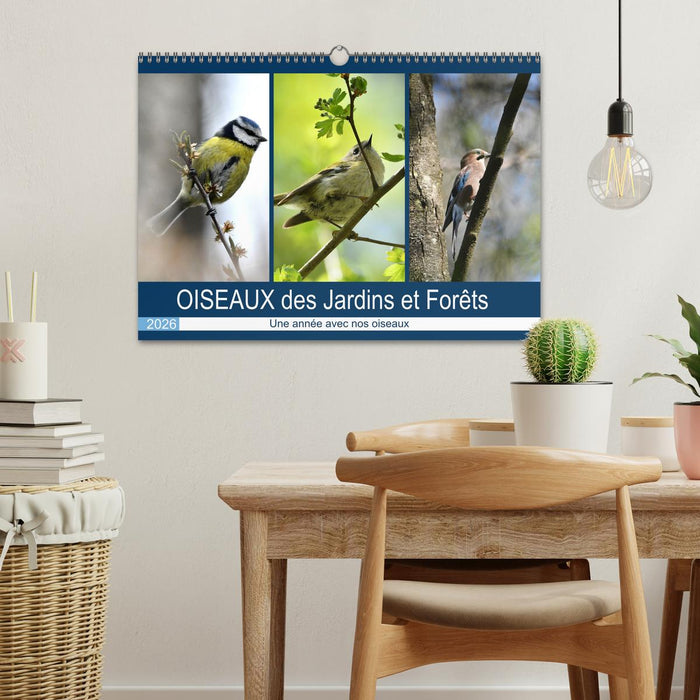 OISEAUX des Jardins et Forêts (CALVENDO Calendrier mensuel 2026)