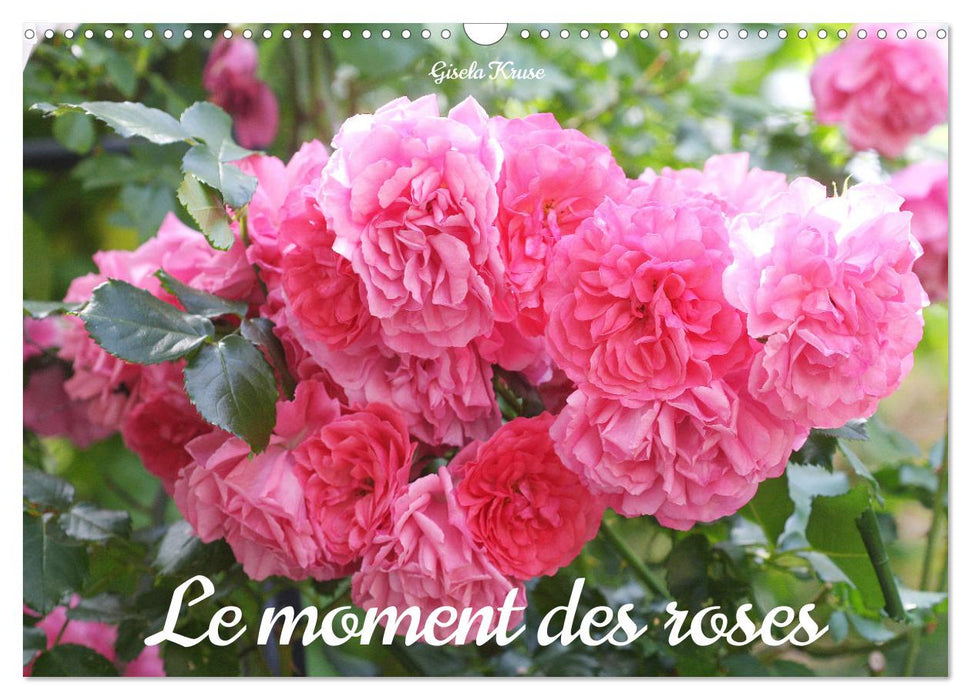 Le moment des roses (CALVENDO Calendrier mensuel 2026)