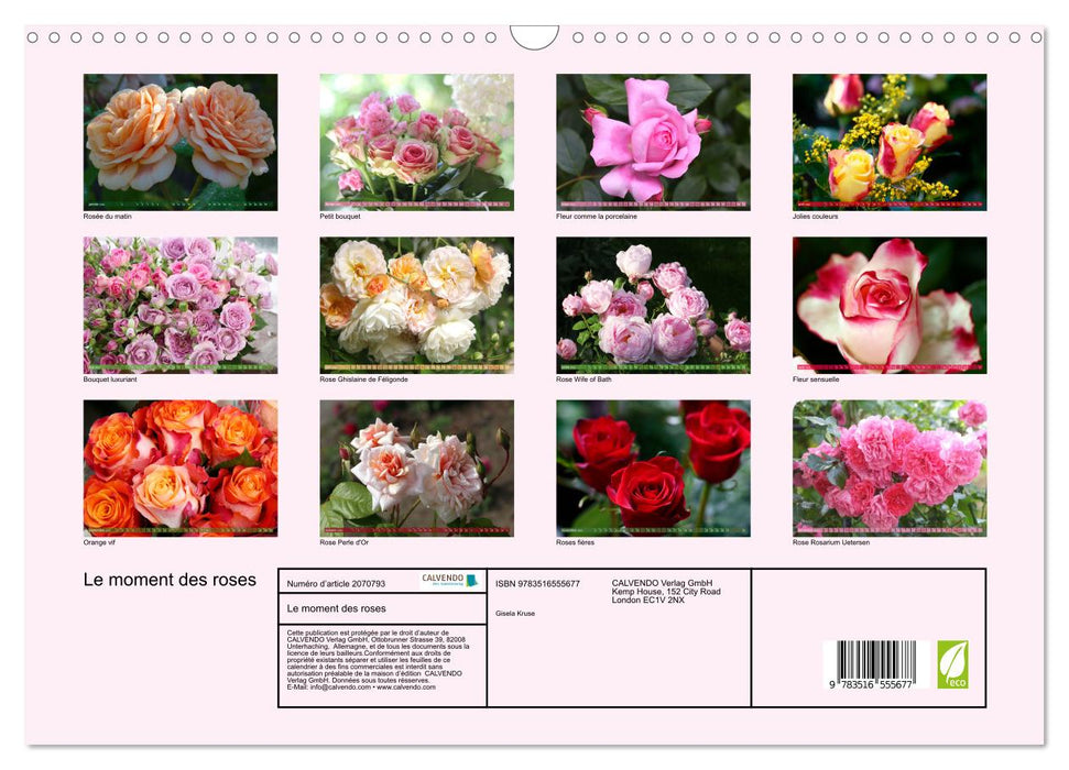 Le moment des roses (CALVENDO Calendrier mensuel 2026)