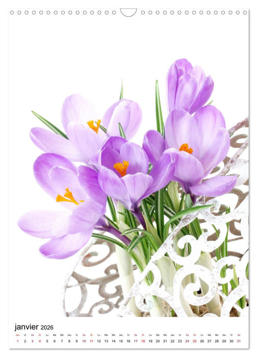 Fleurs élégantes (CALVENDO Calendrier mensuel 2026)