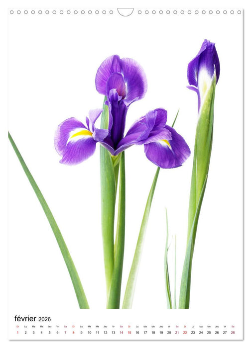 Fleurs élégantes (CALVENDO Calendrier mensuel 2026)