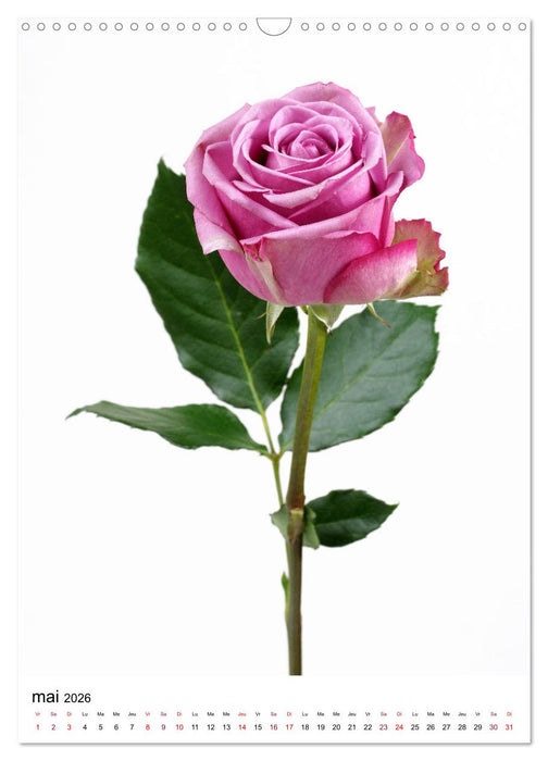 Fleurs élégantes (CALVENDO Calendrier mensuel 2026)