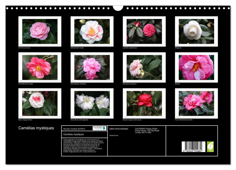 Camélias mystiques (CALVENDO Calendrier mensuel 2026)