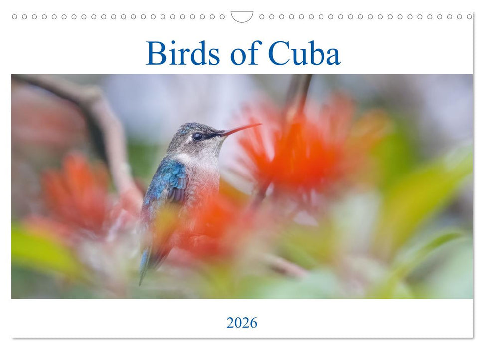 Birds of Cuba Island (CALVENDO Monthly Calendar 2026)