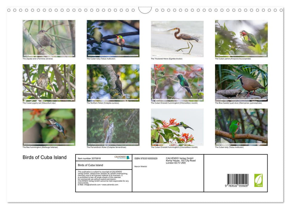 Birds of Cuba Island (CALVENDO Monthly Calendar 2026)