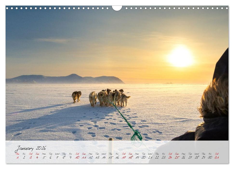 Greenland - Impressions of an Arctic Island (CALVENDO Monthly Calendar 2026)