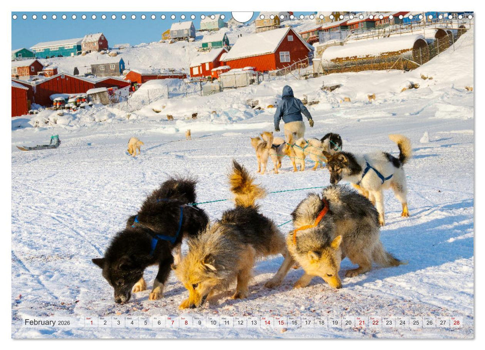 Greenland Dog - The Sled Dogs of Northern Greenland (CALVENDO Monthly Calendar 2026)