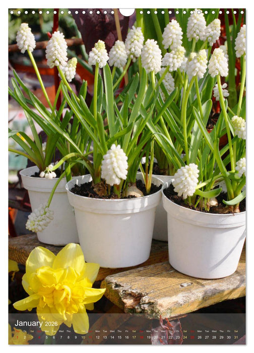 Garden Bliss (CALVENDO Monthly Calendar 2026)