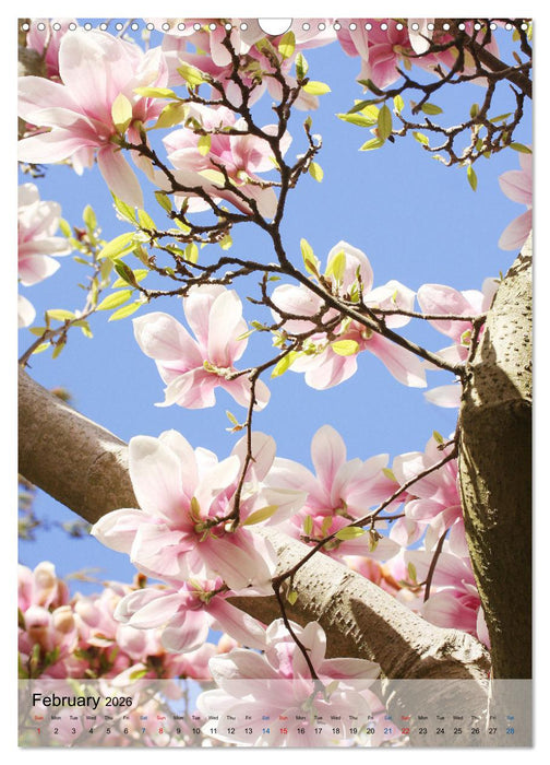 Garden Bliss (CALVENDO Monthly Calendar 2026)