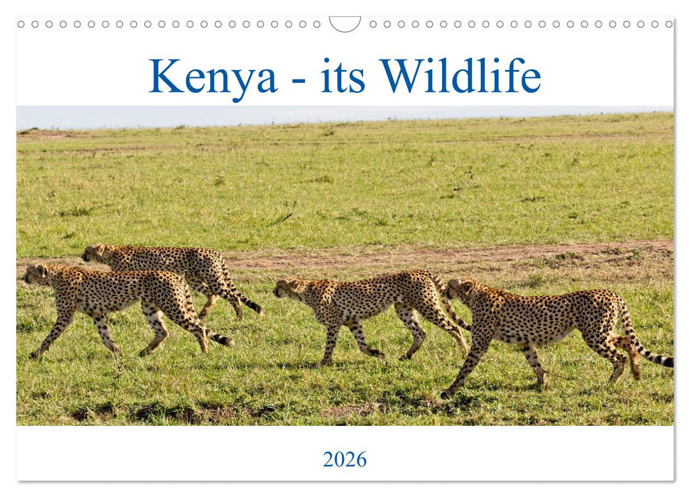 Kenya - its Wildlife (CALVENDO Monthly Calendar 2026)