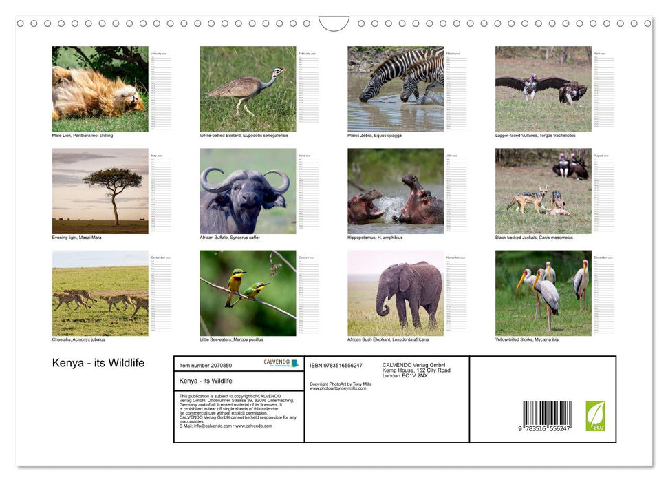 Kenya - its Wildlife (CALVENDO Monthly Calendar 2026)