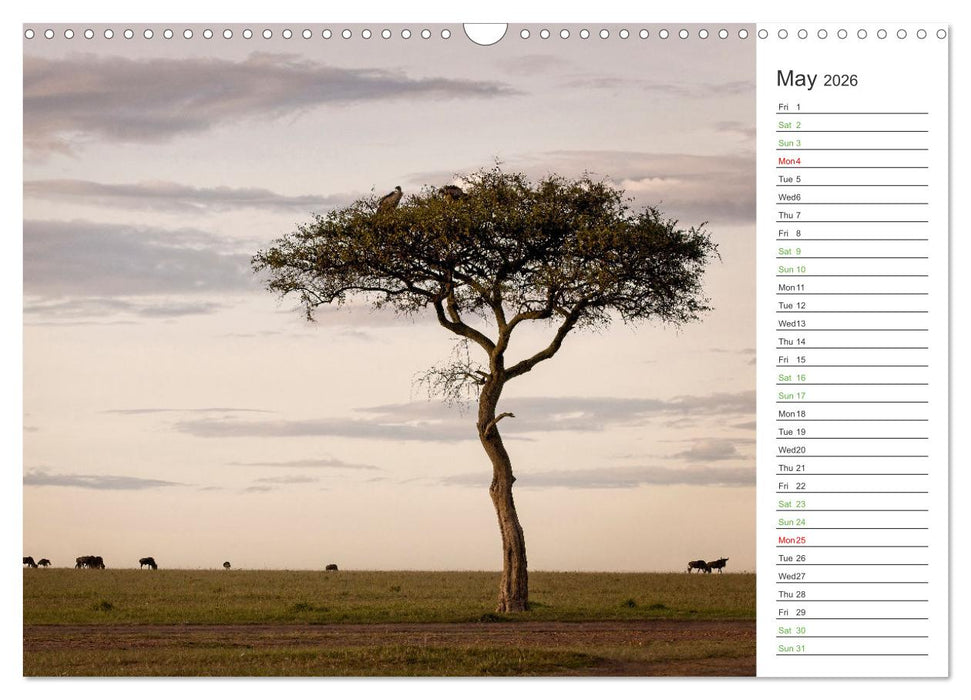 Kenya - its Wildlife (CALVENDO Monthly Calendar 2026)