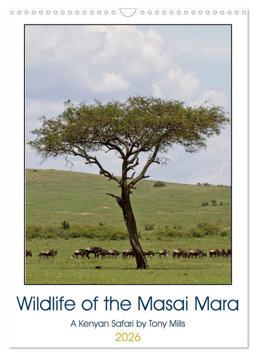 Wildlife of the Masai Mara (CALVENDO Monthly Calendar 2026)