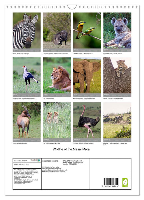 Wildlife of the Masai Mara (CALVENDO Monthly Calendar 2026)