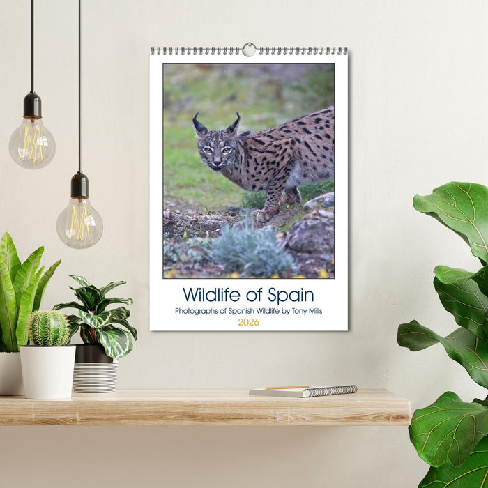 Wildlife of Spain (CALVENDO Monthly Calendar 2026)
