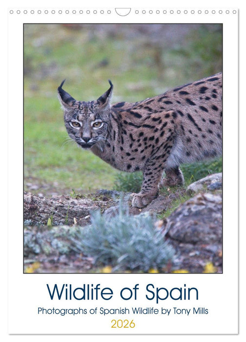 Wildlife of Spain (CALVENDO Monthly Calendar 2026)