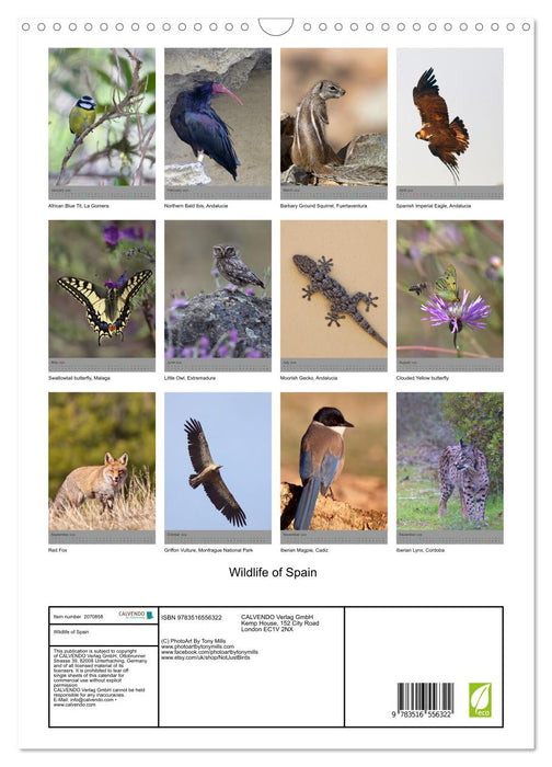 Wildlife of Spain (CALVENDO Monthly Calendar 2026)