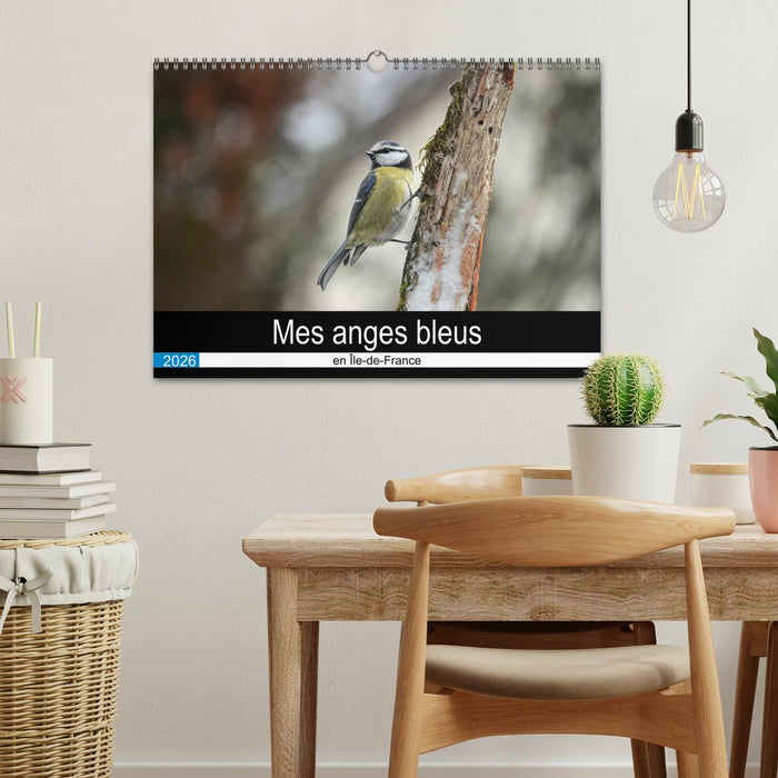 Mes anges bleus en Île-de-France (CALVENDO Calendrier mensuel 2026)