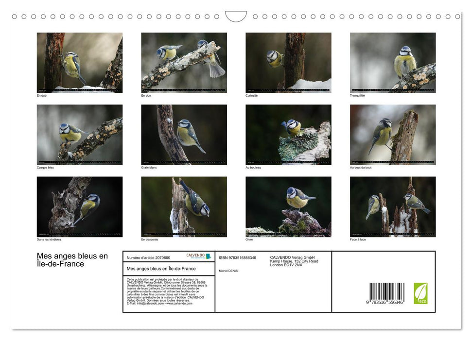 Mes anges bleus en Île-de-France (CALVENDO Calendrier mensuel 2026)