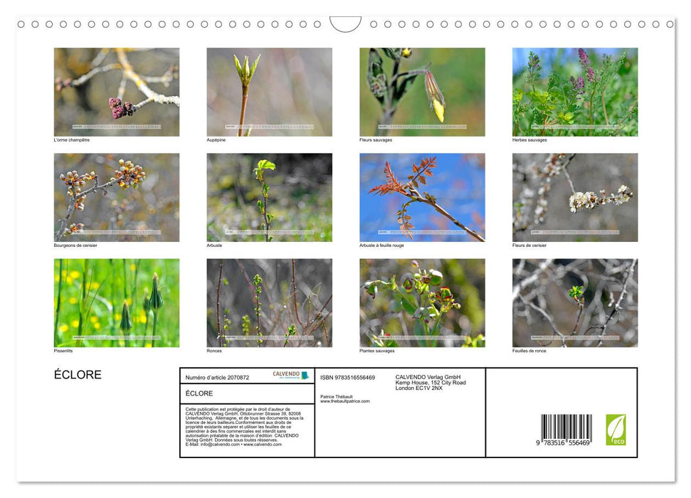 ÉCLORE (CALVENDO Calendrier mensuel 2026)