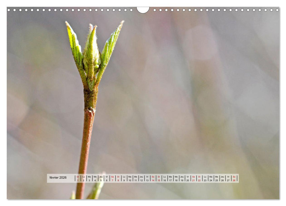 ÉCLORE (CALVENDO Calendrier mensuel 2026)