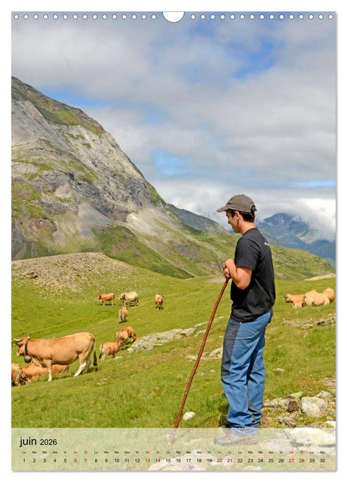 Retour à la nature (CALVENDO Calendrier mensuel 2026)