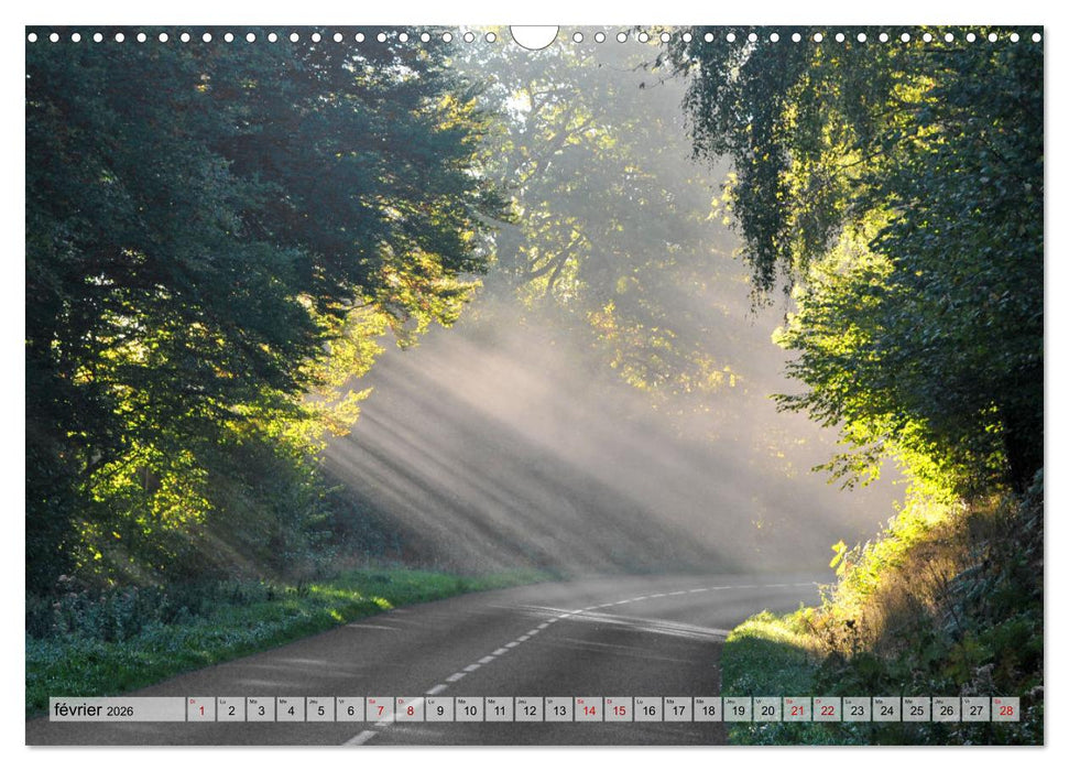 Au cœur de la forêt (CALVENDO Calendrier mensuel 2026)