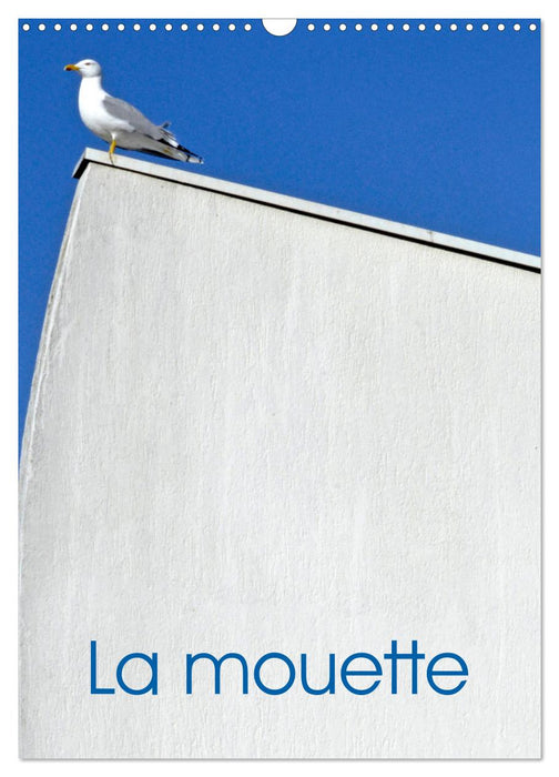 La mouette (CALVENDO Calendrier mensuel 2026)