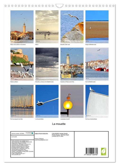 La mouette (CALVENDO Calendrier mensuel 2026)