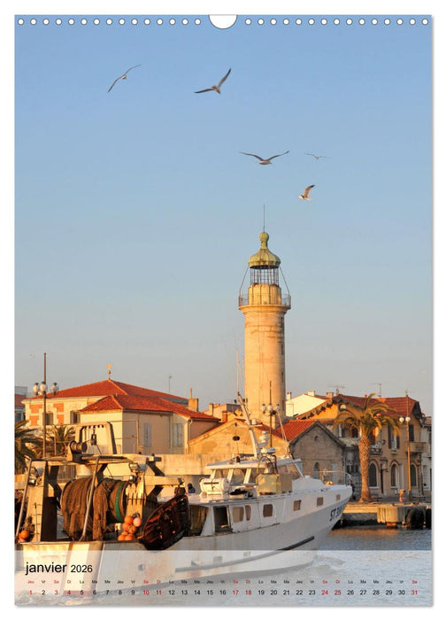 La mouette (CALVENDO Calendrier mensuel 2026)