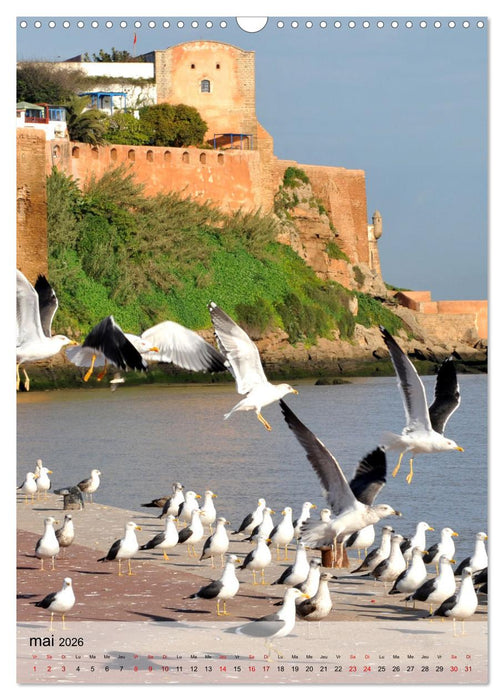 La mouette (CALVENDO Calendrier mensuel 2026)